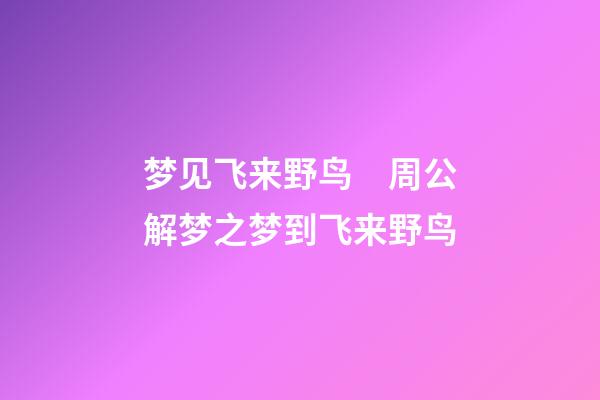 梦见飞来野鸟　周公解梦之梦到飞来野鸟
